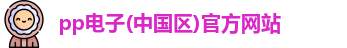 pp电子
